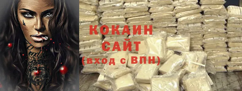 как найти наркотики  Горнозаводск  COCAIN Fish Scale 